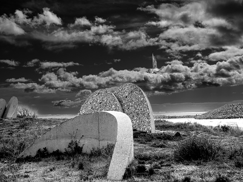 Illustration de l'actualité