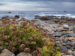 Illustration de la galerie