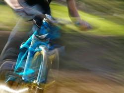 Illustration de la galerie