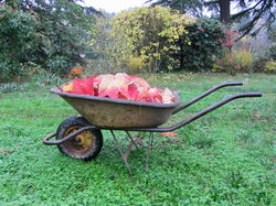 Illustration de la galerie