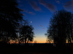 Illustration de la galerie