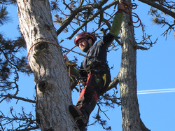 Illustration de la galerie