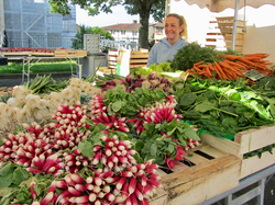 Illustration de la galerie