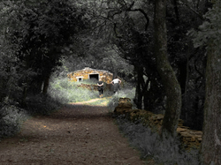 Illustration de la galerie