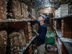 Illustration de la galerie