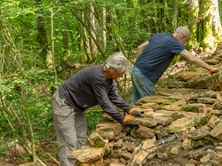 Illustration de la galerie