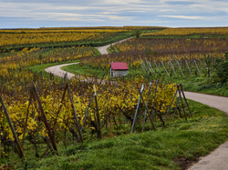 Illustration de la galerie