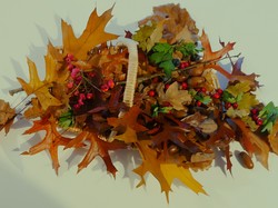 Illustration de la galerie