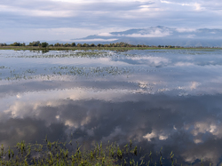 Illustration de la galerie