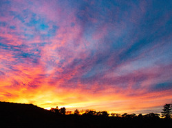 Illustration de la galerie