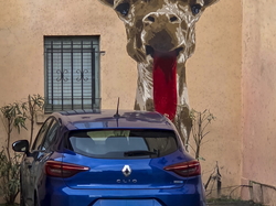 Illustration de la galerie